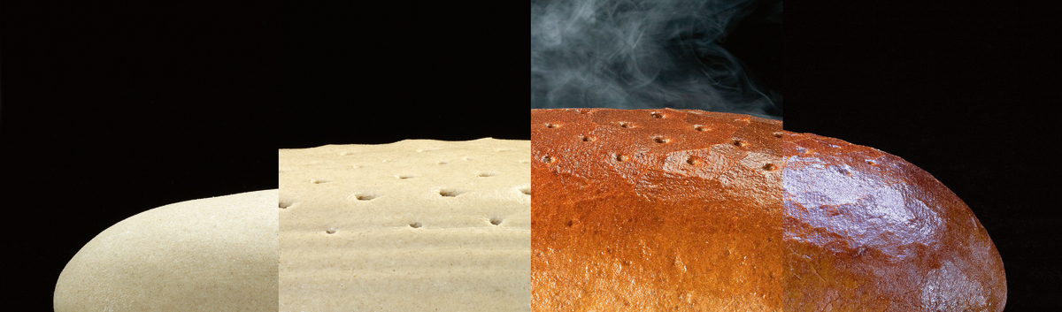 Brot in unterschiedlichen Verarbeitungsstufen